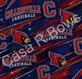 PRE ORDER Collinsville Cardinals 2